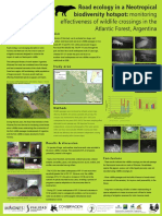 Effectiveness of Wildlife Crossings in The Atlantic Forest, Argentina