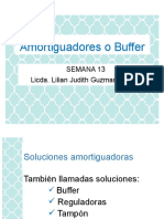 13 Soluciones Buffer