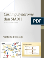 Cushing Syndrome Dan SIADH