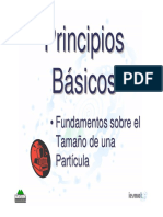 DIF-Fundamentos tam. de particula.pdf