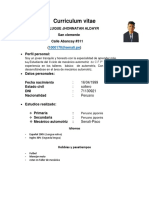 Rojas Luque Curriculum - Vitae