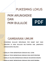 PROFIL PUKESMAS LOKUS.pptx