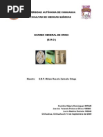 Download 1EGO by Caro ND SN35865771 doc pdf