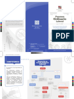 Triptico Proceso Ordinario Laboral PDF