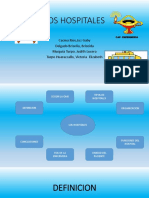 Los Hospitales Diapositivas