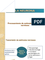 Neuronas