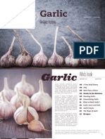 Spice Academy Garlic E-Magazine