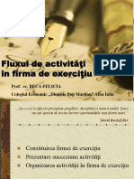 Fluxul de Activitati in Firma de Exercitiu