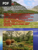 Engleza Fara Profesor Carte Intreaga