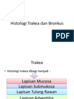 Histologi Trakea Dan Bronkus