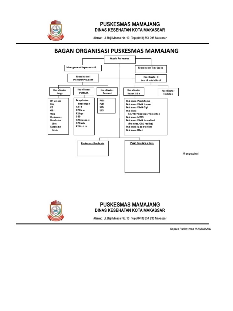 Struktur Organisasi Dinas Kesehatan Kota Makassar