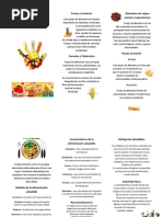 61007104 Alimentacion Saludable Triptico