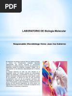 Biolog i a Molecular