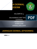 Jaringan Dermal Dan Periderm