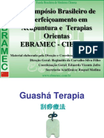 Guashá_Ciefato_2012.pdf