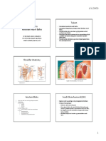 anamnesis-keluhan-nyeri-bahu.pdf