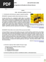 Teste Diagnóstico a - 7 Ano