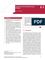 Mechanisms of Acute Kidney Injury and Repair: Joseph V. Bonventre