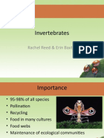Invertebrates: Rachel Reed & Erin Baxter