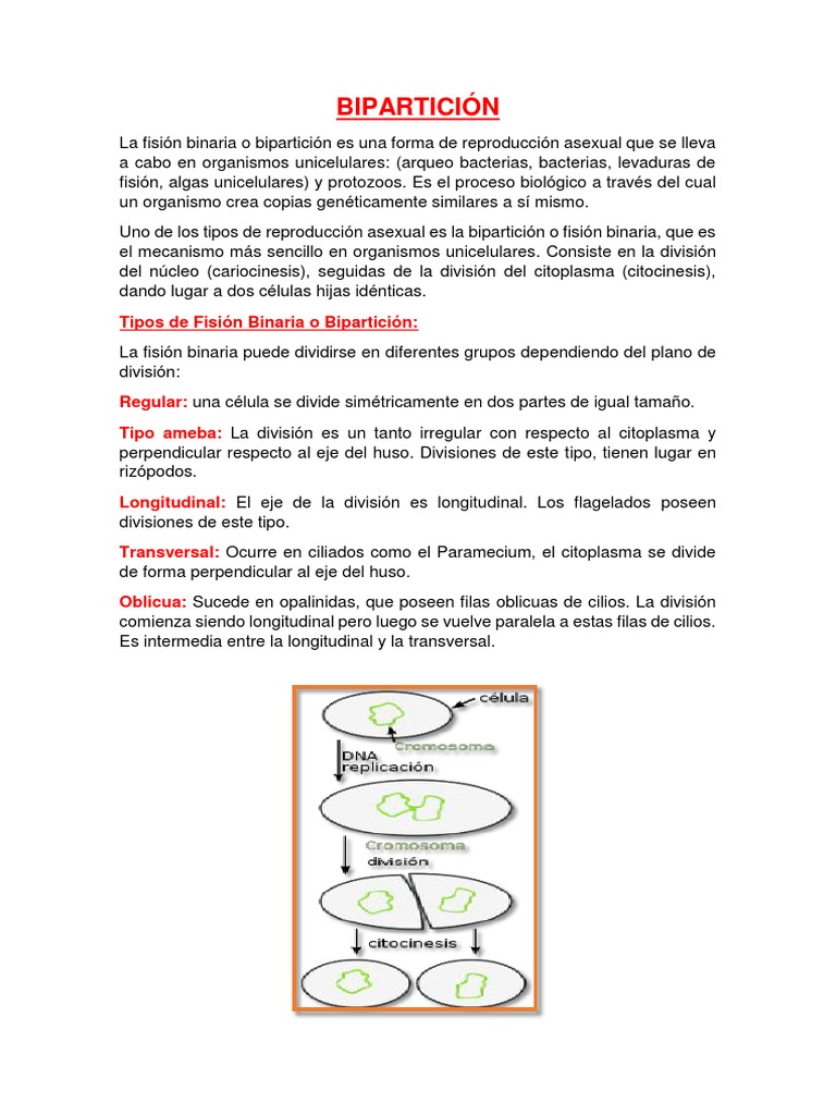 Bipartici n
