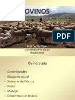 Ovinos PDF