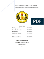 Persiapan Tanam Dan Penanaman Tanaman Tomat