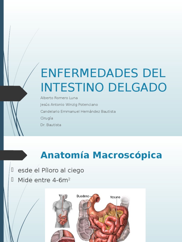 patologias de intestino delgado | Small Intestine | Crohn ...