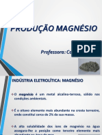 Indústria Eletrolítica Magnesio Final