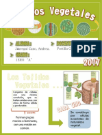 Tejidos Vegetales PDF