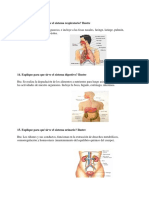 anatomía, fisiología, aplicación, clasificación y uso..docx