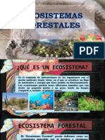 Ecosistemas Forestales