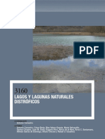 Lagos Y Lagunas Naturales Distróficos: Presentación