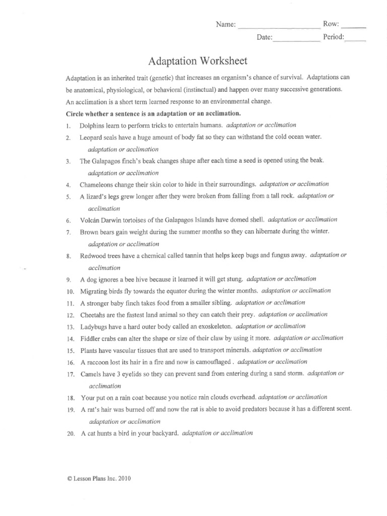 Adaptation Speciation Ws