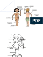 Partes Del Cuerpo en Frances y Ejercicios