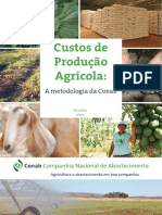 custosCONAB.pdf