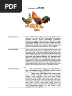 Download Tek Deskripsi Ayam by Mila Yenita Purnama SN358745745 doc pdf