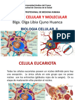 A Celular y Molecular v 2015 Ceucar.pdf