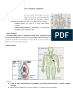 Fisiopatologia del sistema linfatico.pdf