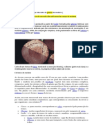 PDF Trabalho de BiO ESCRITO