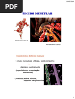 Anatomia - Tecido Muscular So Esqueletico e Liso 2016