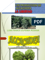 Costos de Producción de Alcachofa