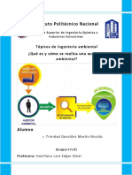 AUDITORIA AMBIENTAL