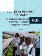 DIPT-05 Patogen 28 Maret 2012