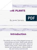 The Plants: by Javier Serrano