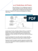 Trastornos en el Metabolismo del Potasio.doc