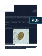 Materi Trematoda 2