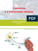 A Transmissão Nervosa