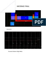 Informe Final