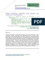 Foetal Maceration Associated With Brucella Ovis Infection in A Yankassa Ewe