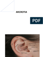 Mikrotia